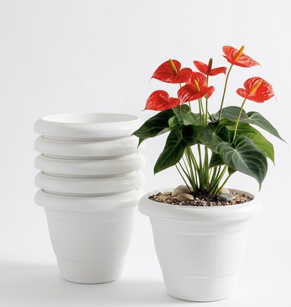 Plastic Planters