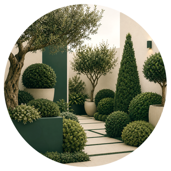 Shrubs,Trees and Palm