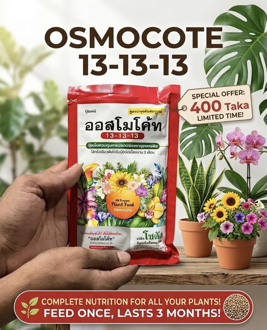 Osmocote Controlled Release Fertilizer 13-13-13 (100g)